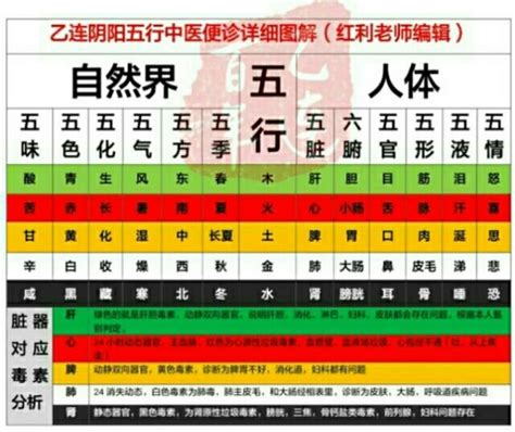 五行圖表|五行、五臟、五官、五體、五志對應表